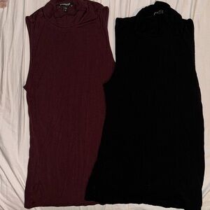 2 Express turtle neck blouses